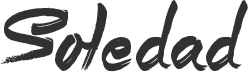 zaibfoundation.com